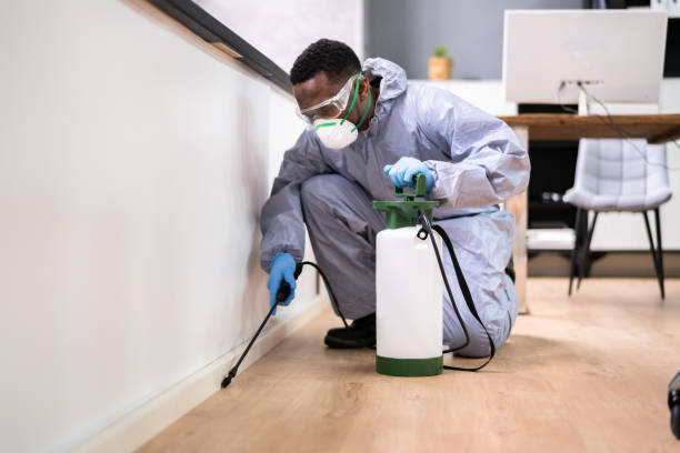 Best Real Estate Pest Inspections  in Athens, MI